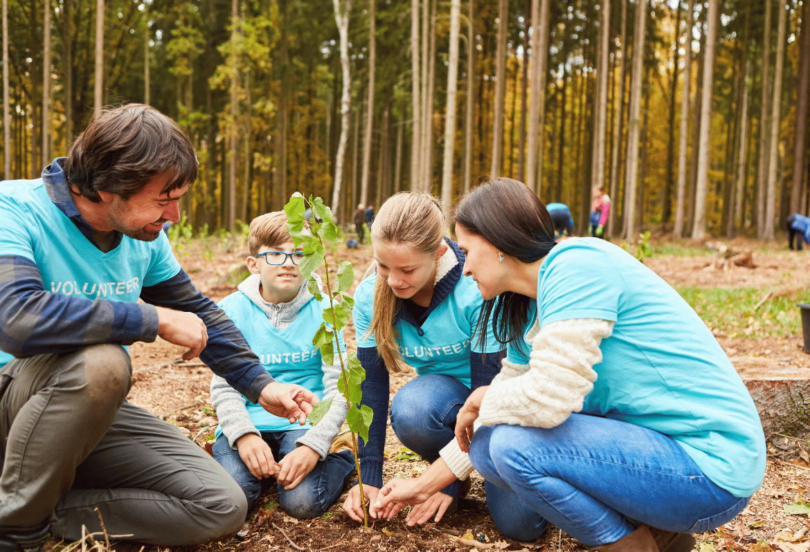 Trabalho Voluntário no Currículo